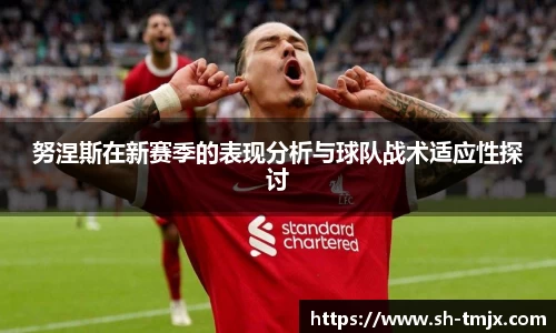 努涅斯在新赛季的表现分析与球队战术适应性探讨
