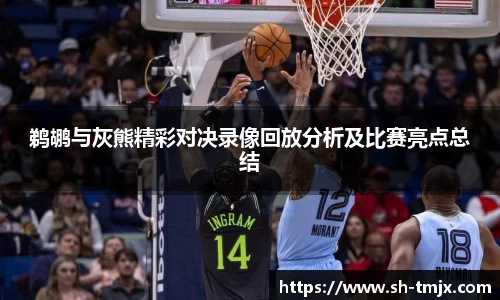 鹈鹕与灰熊精彩对决录像回放分析及比赛亮点总结