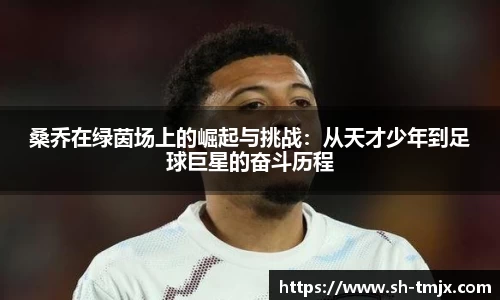 桑乔在绿茵场上的崛起与挑战：从天才少年到足球巨星的奋斗历程