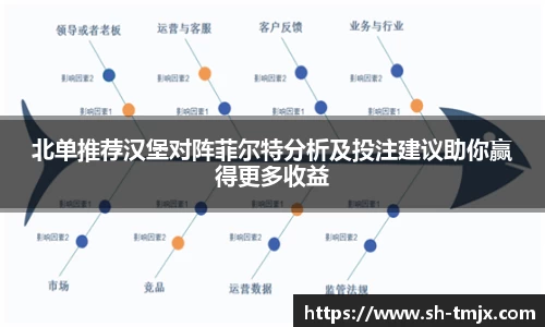 北单推荐汉堡对阵菲尔特分析及投注建议助你赢得更多收益